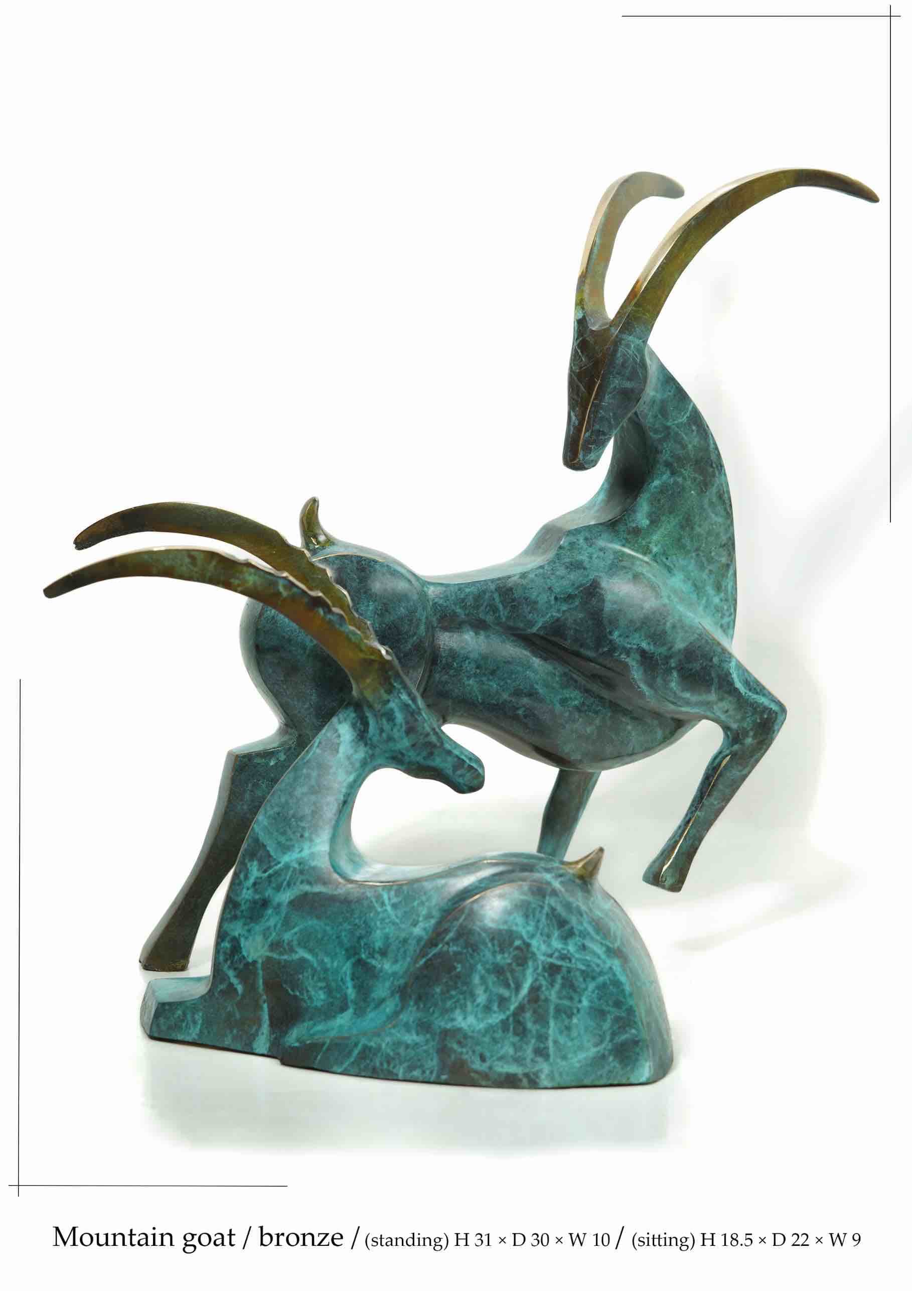 Mountain Goat